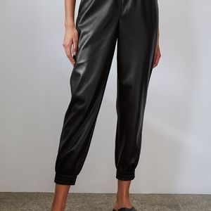 Price Drop!! Aritzia Baton Zedel Pants